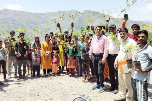 indian-institute-of-soil-and-water-conservation-dehradun indian-institute-of-soil-and-water-conservation-dehradun