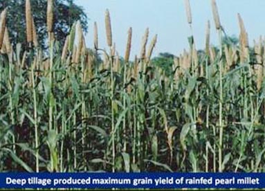 Deep Tillage Produced